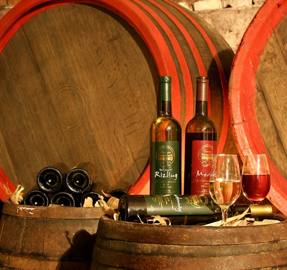 wino
